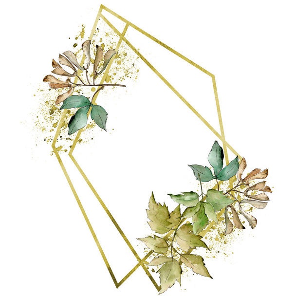 Φύλλα πράσινο σφενδάμου. Φύλλο φυτού Βοτανικός Κήπος floral φύλλωμα. Απομονωμένη εικονογράφηση στοιχείο. Διαμάντι ροκ κοσμήματα μεταλλικό. Φύλλα ακουαρέλας για φόντο, υφή, μοτίβο περιτύλιγμα, πλαίσιο ή στα σύνορα. - Φωτογραφία, εικόνα