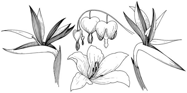 ベクター スタイルの南国の花。孤立した図の要素。背景、テクスチャ、ラッパー パターン、枠や図面枠のベクターの花. - ベクター画像