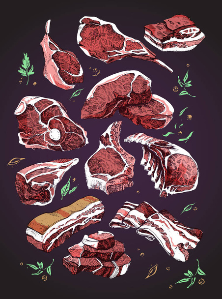 Heerlijke kleur tekening van de verschillende stukken vlees - Vector, afbeelding