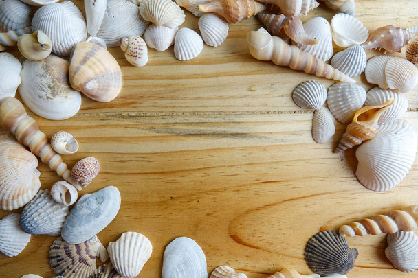 Concha de playa aislada sobre un fondo de madera
. - Foto, imagen