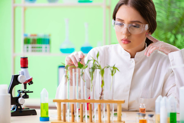 Belle femme scientifique en biotechnologie chimiste travaillant en laboratoire - Photo, image