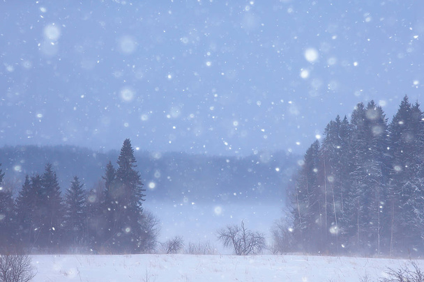 paysage hivernal brumeux avec chutes de neige et forêt, temps froid saisonnier
 - Photo, image