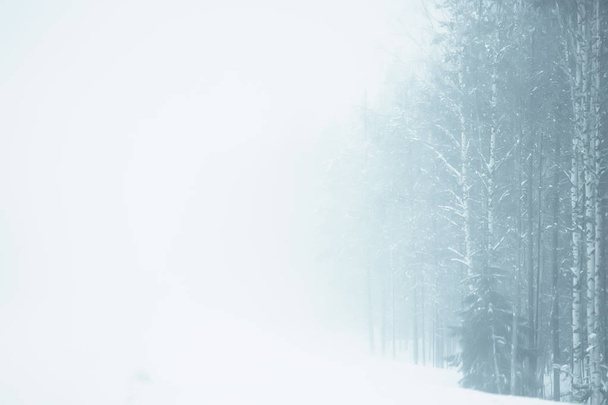 snow and fog on winter road, winter lonely landscape - Photo, image