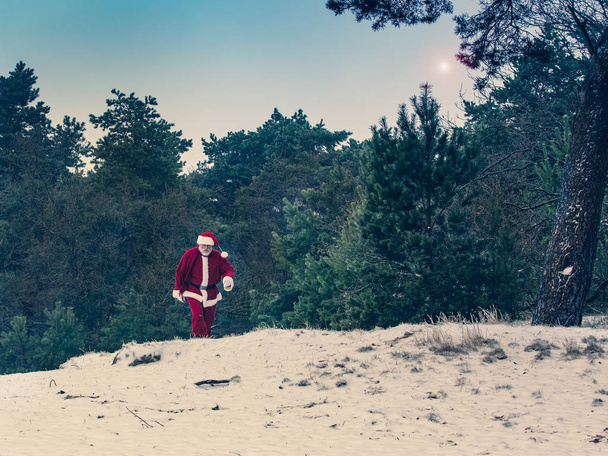 Санта-Клауса, прогулянок у засніженому лісі зимові. - Фото, зображення