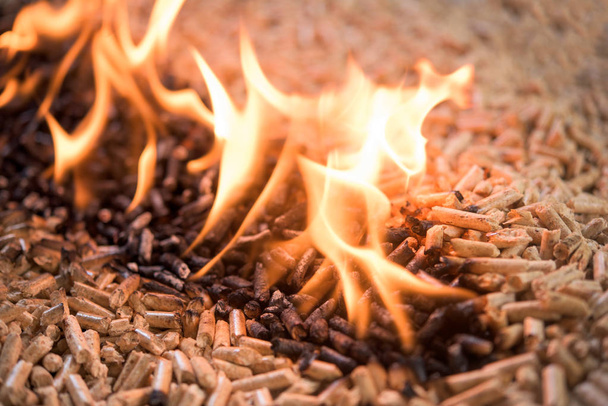Stapel van het verbranden van beuken pellets - home Verwarming - Foto, afbeelding
