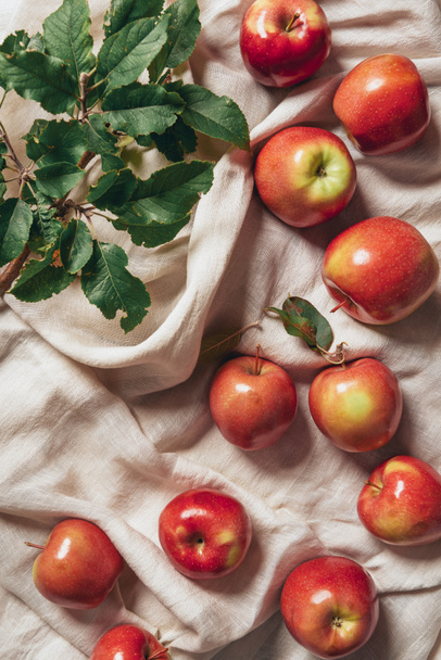 vista superior de manzanas frescas con hojas de manzano sobre tela para saquear
 - Foto, imagen