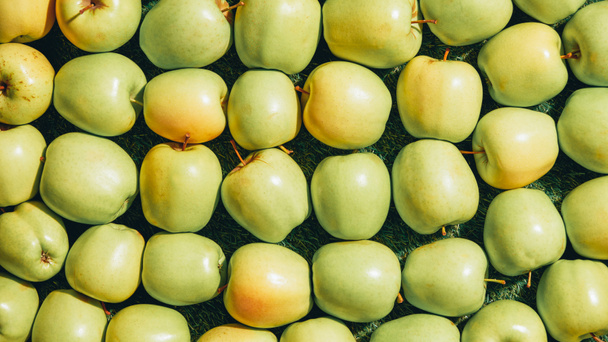 achtergrond met groene verse appels geplukt - Foto, afbeelding