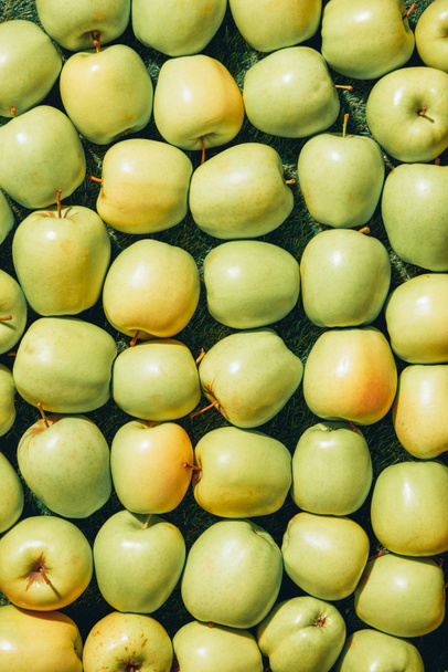 vista superior de la pila de manzanas sobre hierba verde
 - Foto, Imagen