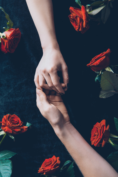 recortado disparo de pareja cogido de la mano por encima de tela negra con rosas rojas
 - Foto, imagen