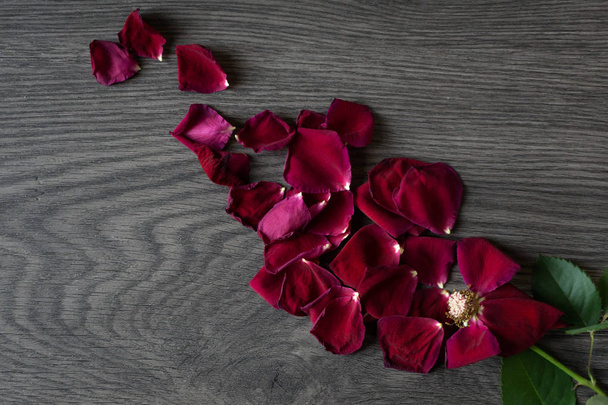 Flat lay of a withered rose and scattered petals on a wooden background - Photo, Image