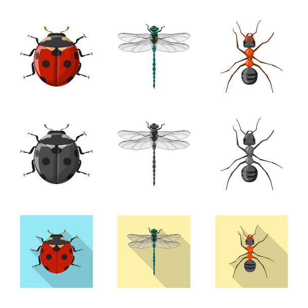 Isolated object of insect and fly sign. Collection of insect and element vector icon for stock. - Wektor, obraz