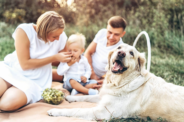 Young pretty family on picnic with dog - Zdjęcie, obraz