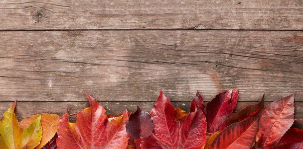 Beautiful autumn red leafs on wood - Photo, Image