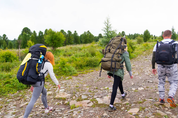 Trzech turystów z plecakami go na drodze pokryta kamieniami, unikając kałuży, wzdłuż lasu z zielonych drzew iglastych do góry i przygody w szare niebo i chmury - Zdjęcie, obraz