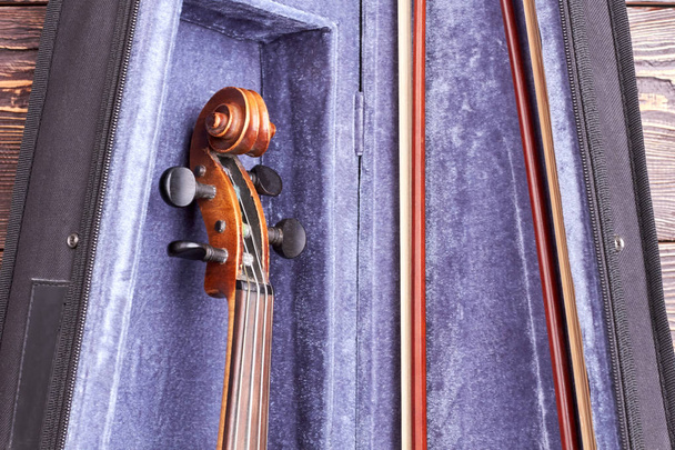 Violin in velvet case close up. - Photo, Image