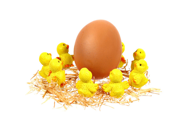 Chickens and egg - Photo, Image
