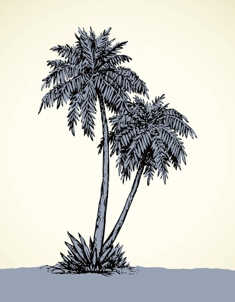Vue panoramique de la forêt tropicale estivale et espace pour le texte sur fond de ciel blanc. Vieille branche d'arbuste luxuriante. Encre à main levée dessin à la main croquis dans l'art vintage gribble gravure stylo style graphique sur papier - Vecteur, image
