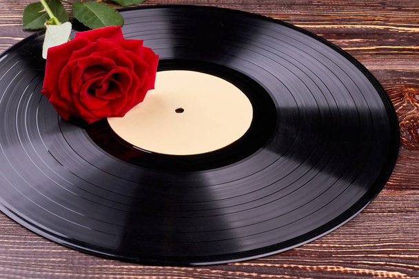 Rote Rose auf schwarzer Schallplatte. - Foto, Bild