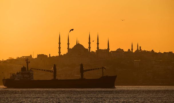 Coucher de soleil sur le Bosphore. Istanbul, silhouette d'un cargo sur fond de mosquée bleue
 - Photo, image