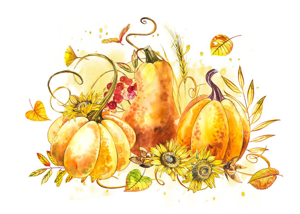 Pumpkins composition. Hand drawn watercolor painting on white background. Watercolor illustration with a splash. Happy Thanksgiving Pumpkin. - Photo, image