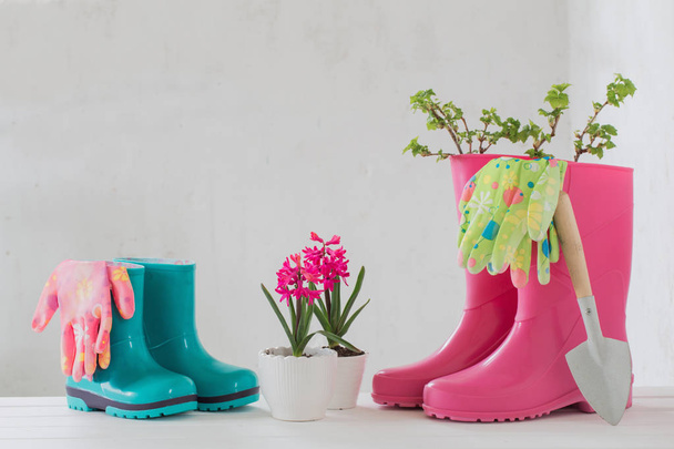 rubber boots and spring flowers on white background - Φωτογραφία, εικόνα