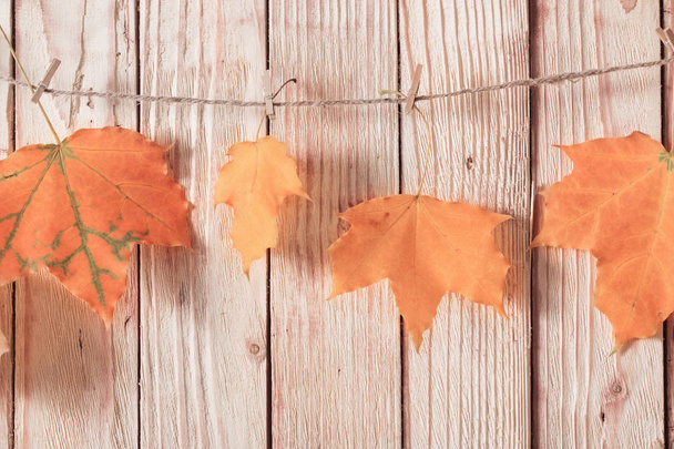 colour autumn leaves on wooden background - Foto, afbeelding
