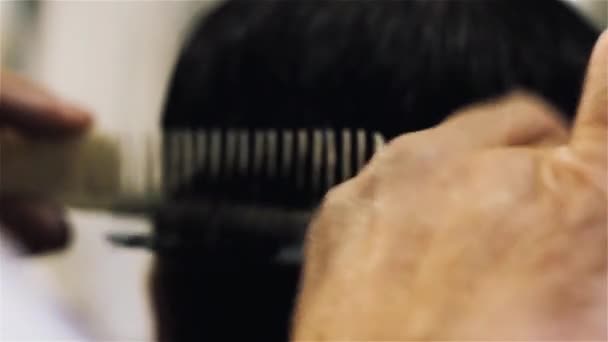 Male Hairdresser Cuts Hair.  - Footage, Video