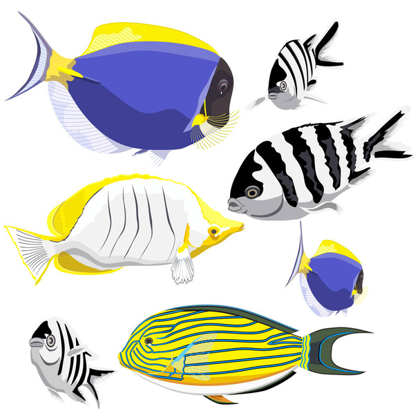 Set of coral reef fishes - Wektor, obraz