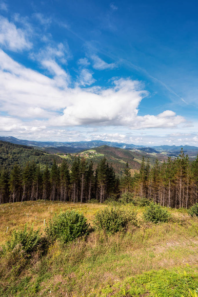 ヴィスカヤ森林・山地の風景、バスク、スペイン. - 写真・画像
