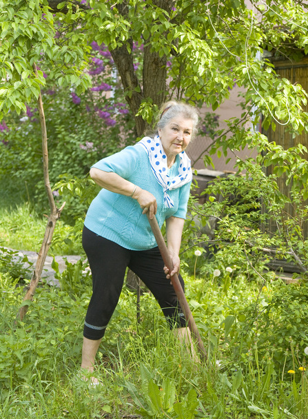 Old lady in garden - Фото, изображение