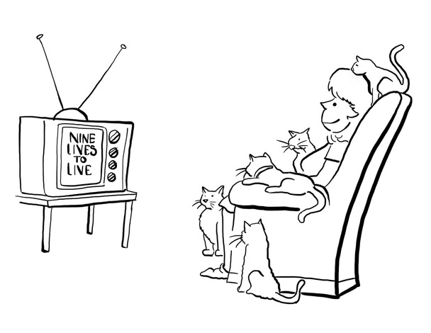 kobieta i kocięta oglądać telenoweli razem - Zdjęcie, obraz