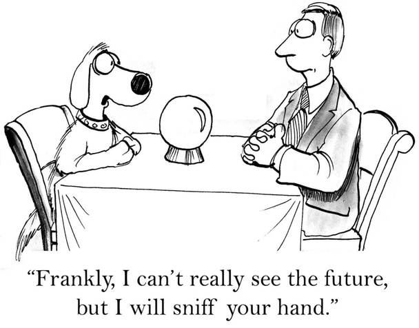 Cão não pode ver o futuro através de bola cristalina
 - Foto, Imagem