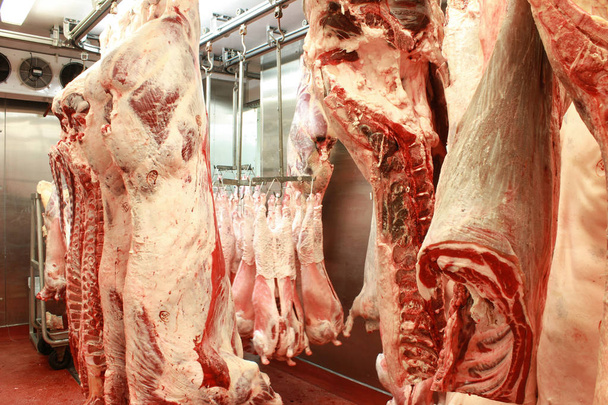 rozbiór mięsa surowego - Zdjęcie, obraz