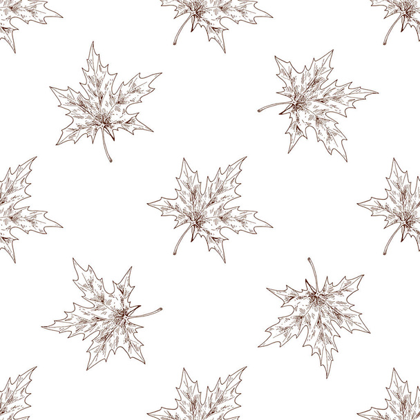 Seamless pattern with maple autumn leafs isolated on white background. Seasonal autumn collection illustration - Valokuva, kuva