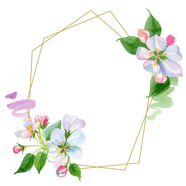 Watercolor apple blossom flower. Floral botanical flower. Frame border ornament square. Aquarelle wildflower for background, texture, wrapper pattern, frame or border. - Fotoğraf, Görsel