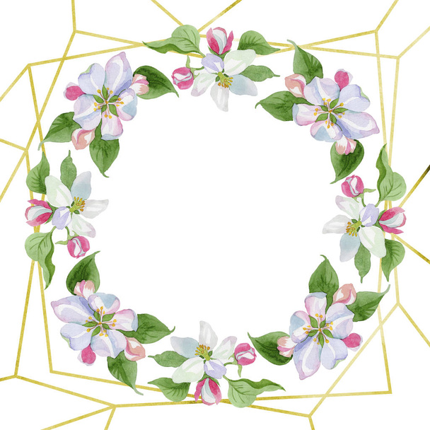 Watercolor apple blossom flower. Floral botanical flower. Frame border ornament square. Aquarelle wildflower for background, texture, wrapper pattern, frame or border. - Foto, afbeelding