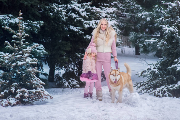 a young blonde mom with long curls and her little sweet little daughter in a tulle skirt walking a husky dog dog with special eyes in a snow-covered park with pines. - Фото, зображення