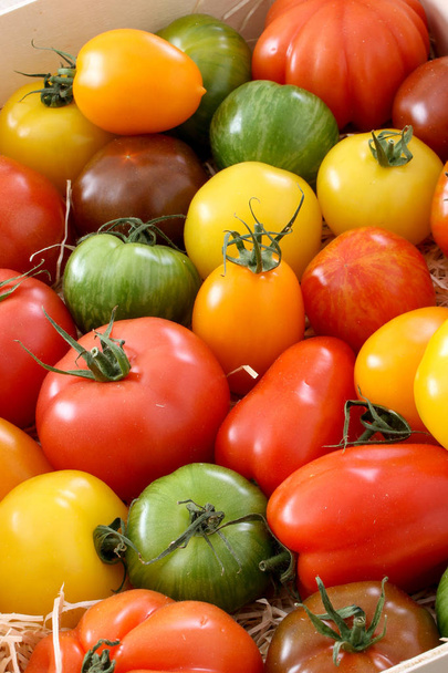 karışık sağlıklı miras domates - Fotoğraf, Görsel