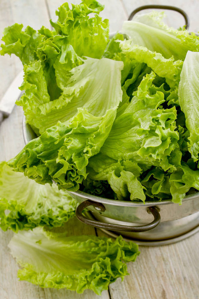 feuilles de salade fraîches savoureuses
 - Photo, image