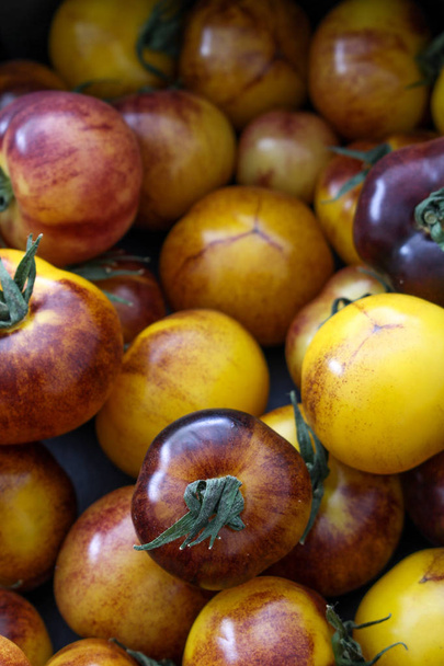gemengde gezonde erfgoed tomaten - Foto, afbeelding