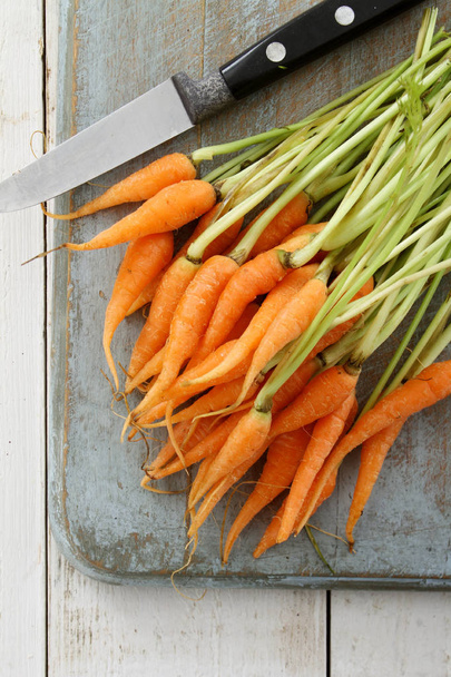 preparing small baby carrots - Photo, Image