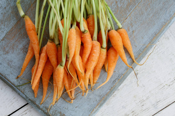 préparation de petites carottes
 - Photo, image