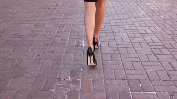 美しい調和のとれた女性足ハイヒールは通りに沿って行く - 映像、動画