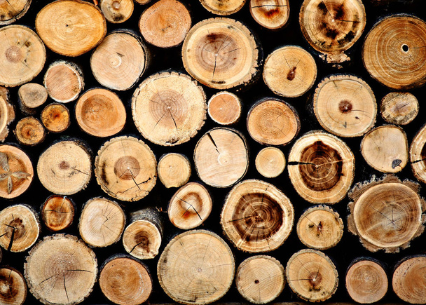 Brennholz für den Winter, - Foto, Bild