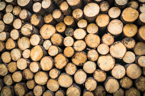 Стволы деревьев с указанным диаметром ствола дерева, сложенные на земле
 - Фото, изображение