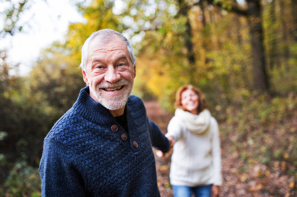 A portrait of a senior couple walking in an autumn nature. - Zdjęcie, obraz