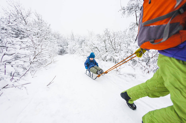 A woman is carrying a child on a sled. Mom walks with her son over the snow-covered forest. Cheerful winter vacation. Winter fun. Baby on the sleigh. - Photo, Image