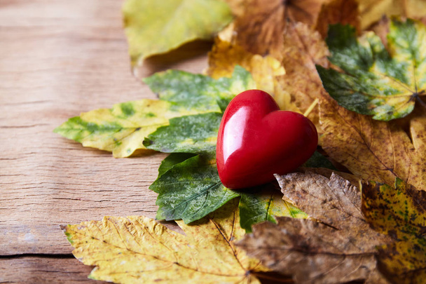 Action de grâce Automne Fond d'automne avec des feuilles rouges, brunes et jaunes
 - Photo, image