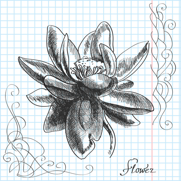 vector hand drawn illustration of a flower - Vector, Image