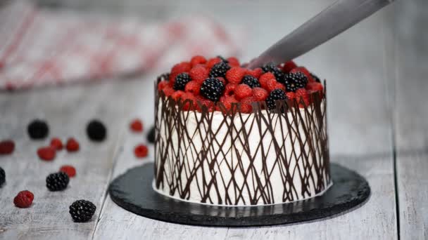 Female hand with a knife cuts cake with berries. - Footage, Video